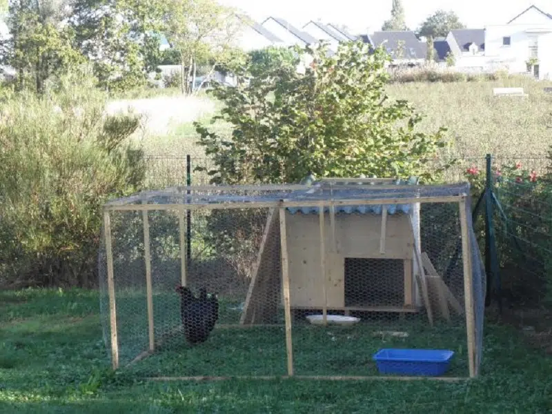 Comment créer un poulailler dans le jardin 